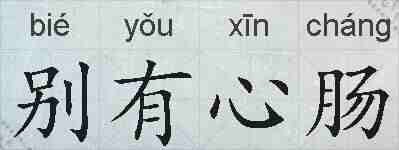 别有心肠的拼音