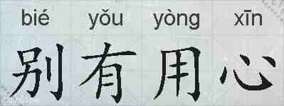 别有用心的拼音