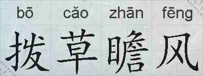 拨草瞻风的拼音