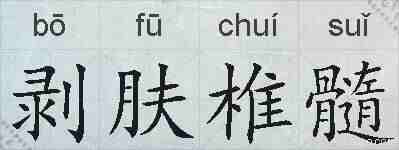 剥肤椎髓的拼音