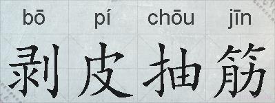 剥皮抽筋的拼音