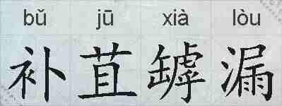 补苴罅漏的拼音
