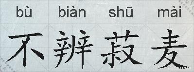 不辨菽麦的拼音