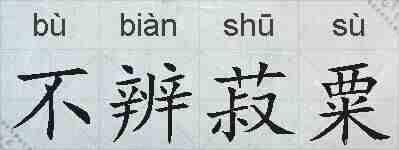不辨菽粟的拼音