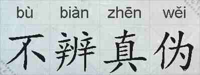 不辨真伪的拼音