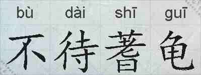 不待蓍龟的拼音