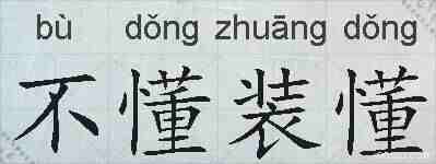 不懂装懂的拼音