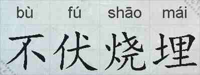 不伏烧埋的拼音