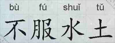 不服水土的拼音