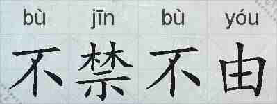 不禁不由的拼音