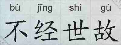 不经世故的拼音