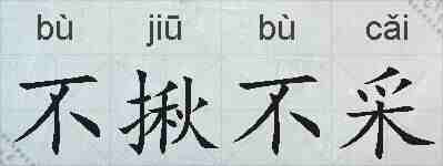 不揪不采的拼音
