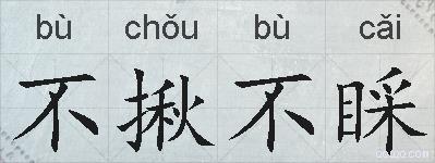 不揪不睬的拼音