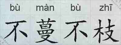 不蔓不枝的拼音