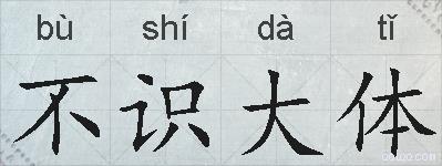 不识大体的拼音