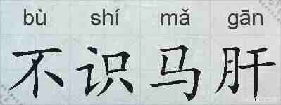 不识马肝的拼音
