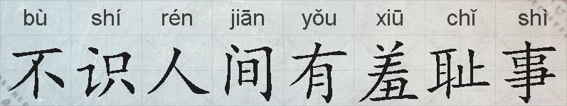 不识人间有羞耻事的拼音