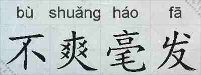 不爽毫发的拼音