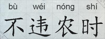 不违农时的拼音