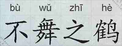 不舞之鹤的拼音