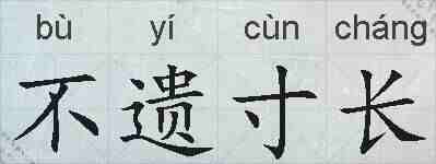 不遗寸长的拼音