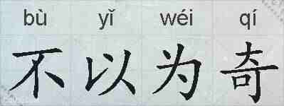 不以为奇的拼音