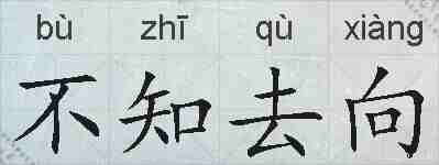 不知去向的拼音