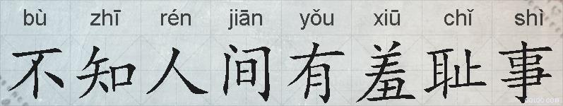 不知人间有羞耻事的拼音