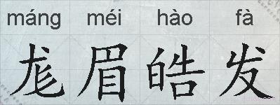尨眉皓发的拼音
