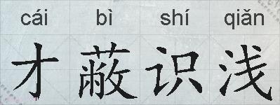 才蔽识浅的拼音