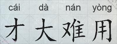 才大难用的拼音