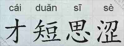 才短思涩的拼音
