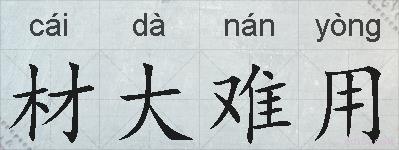材大难用的拼音
