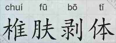 椎肤剥体的拼音