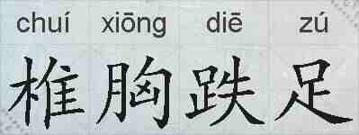 椎胸跌足的拼音
