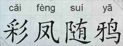 彩凤随鸦的拼音