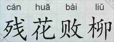 残花败柳的拼音