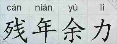 残年余力的拼音