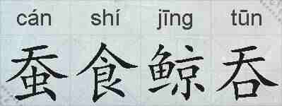蚕食鲸吞的拼音