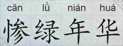 惨绿年华的拼音
