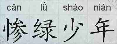 惨绿少年的拼音