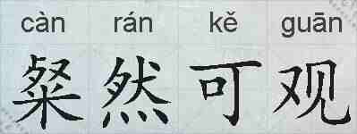 粲然可观的拼音