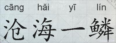 沧海一鳞的拼音