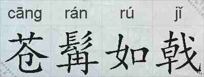 苍髯如戟的拼音
