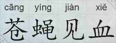 苍蝇见血的拼音