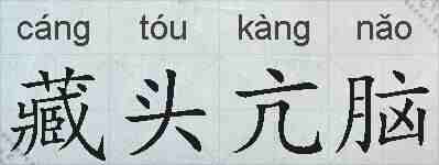 藏头亢脑的拼音