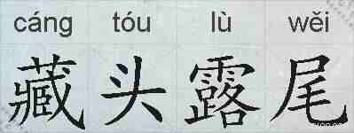 藏头露尾的拼音