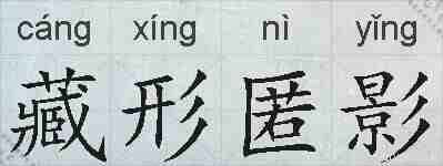 藏形匿影的拼音
