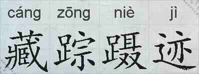藏踪蹑迹的拼音