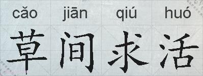 草间求活的拼音